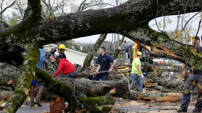 Tornados en Estados Unidos azotan al sur y medio oeste del país: Al menos 5 personas murieron