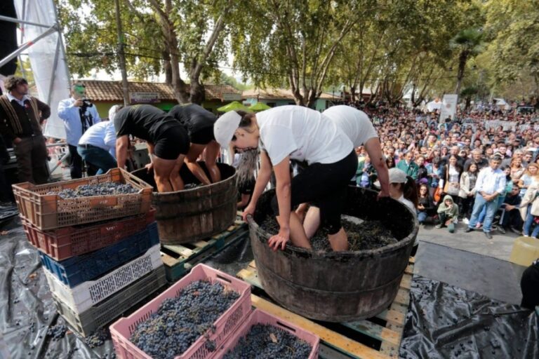 Vendimia de Isla Maipo se celebra este fin de semana: Revisa las actividades y horarios