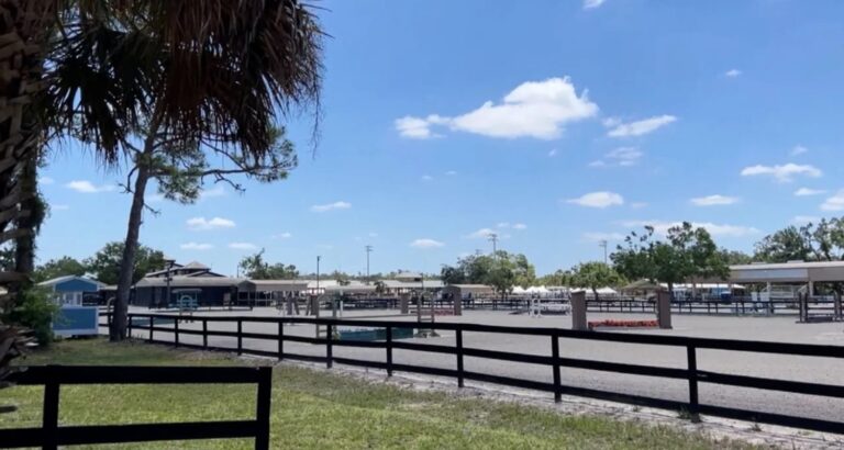Adolescente murió tras caerle un caballo en la cabeza durante una competición ecuestre en Florida