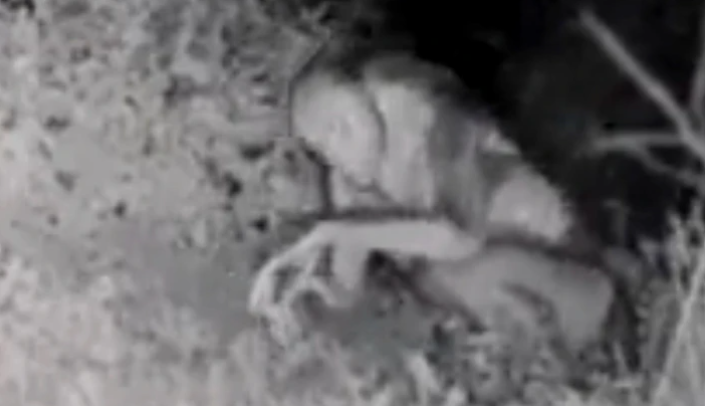 ¿Qué hay detrás de los supuestos extraterrestres reportados en Las Vegas?