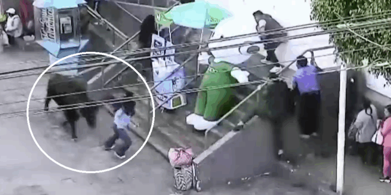 Toro se escapó de una fiesta patronal y desató terror entre los habitantes de una ciudad peruana