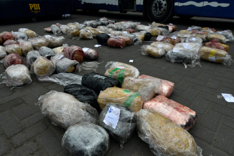 Ronna Rísquez sobre el Tren de Aragua: “Están en Chile porque no encontraron competencia criminal