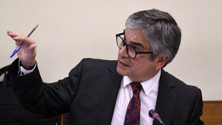 Mario Marcel y alza de papas: 