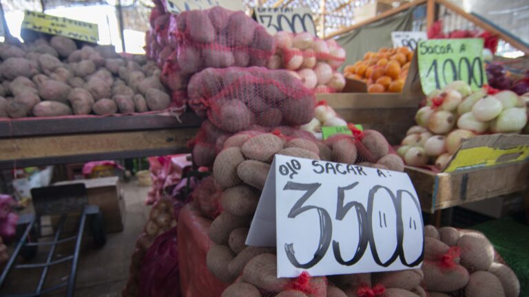 Fedefruta y Sociedad de Fomento de Agricultura descartan colusión por el aumento en el precio de la papa