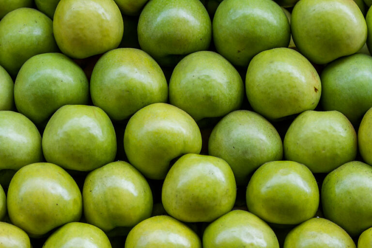 Estudio: 90% de los padres, madres y cuidadores tiene dificultades para preparar comidas saludables