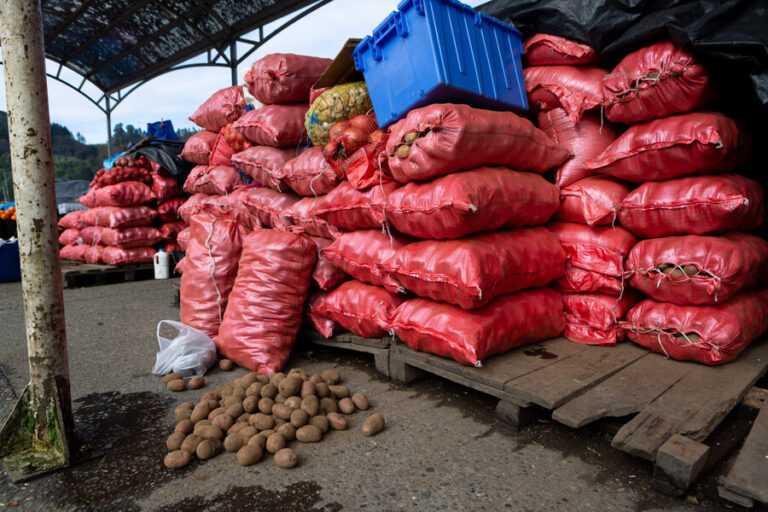 SNA y precio de la papa: “El Minagri tiene derecho de recurrir a la FNE si tiene antecedentes que nosotros no”