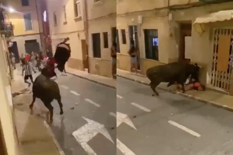 El momento en que un toro embistió a un joven en España: Lo levantó y le dio varias cornadas en el suelo