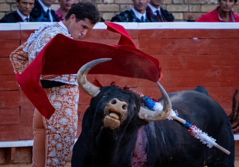 Torero llegó al hospital con 