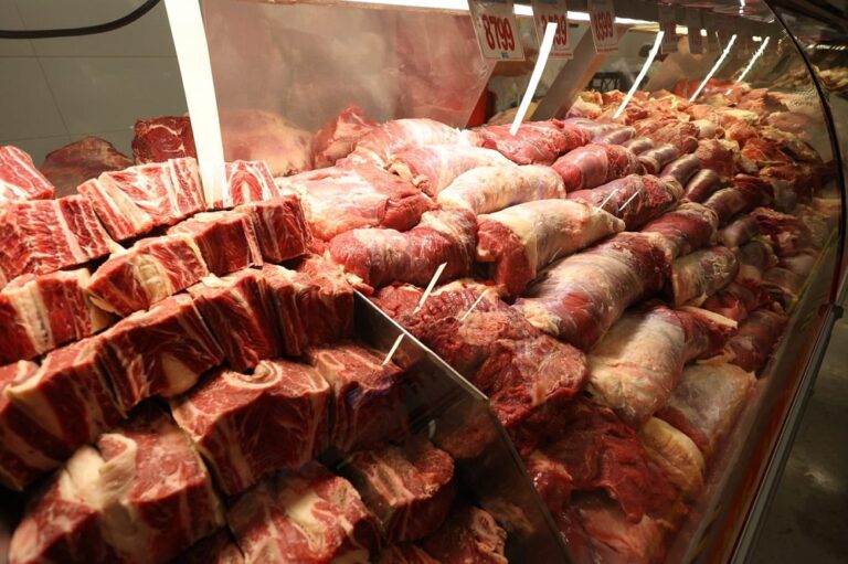 Fiestas Patrias: Ministro Valenzuela supervisa cumplimiento de la Ley de Carnes