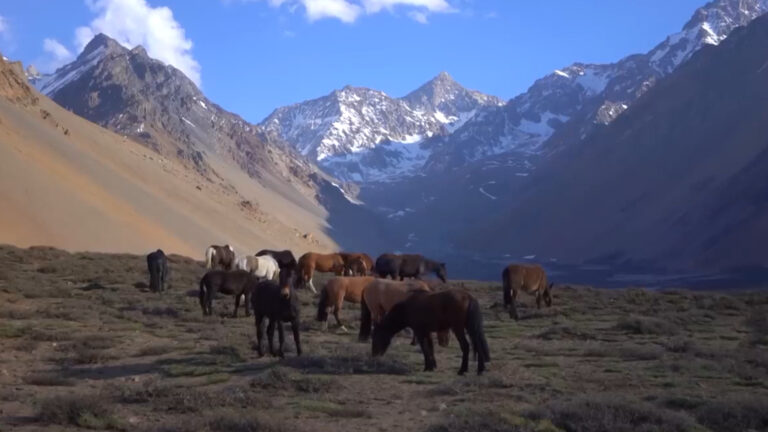 Codelco cede 24 mil hectáreas en el Cajón del Maipo para su protección