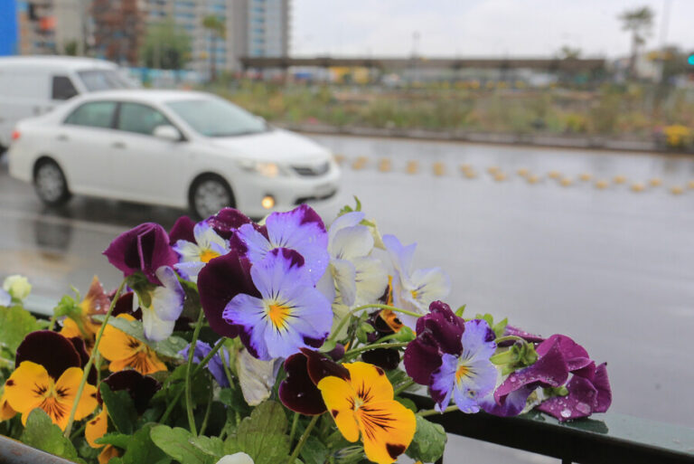 Pronostican primavera con lluvias y altas temperaturas, posible antesala de un verano con calor sin precedentes