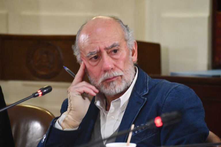 Senador Flores y nueva propuesta constitucional: 