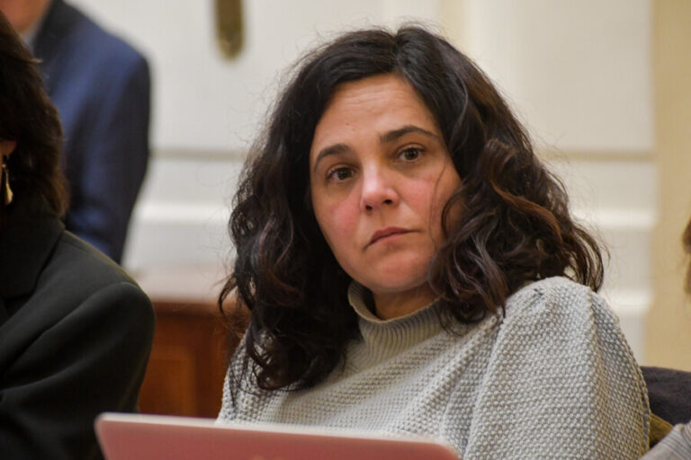 Comisionada Rivas (CS) y propuesta constitucional: 