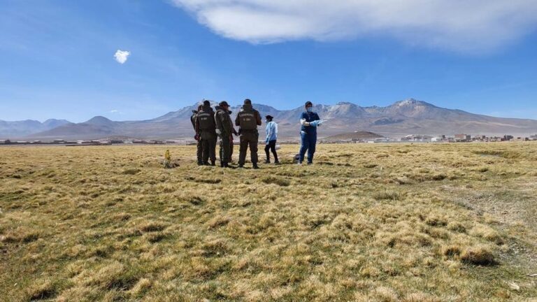 Mujer boliviana fue hallada muerta en Colchane tras haber ingresado al país por un paso no habilitado