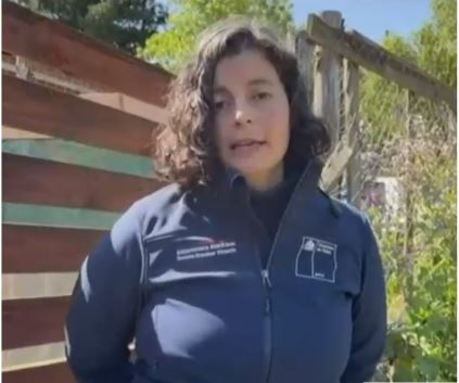 Delegada Dresdner por incendio en Coronel: Condiciones de la toma 