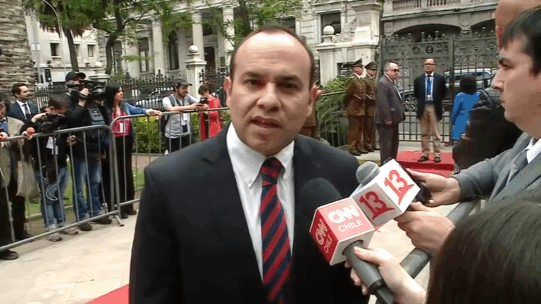 Máximo Pavez, comisionado UDI: 