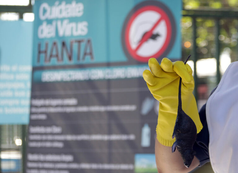 Seremi de Salud confirma primera muerte en la Región Metropolitana por virus Hanta