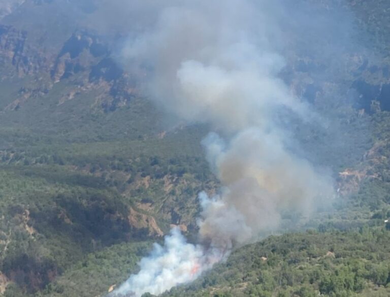 Decretan Alerta Roja para Machalí por incendio forestal: Siniestro afecta a Reserva Río de los Cipreses