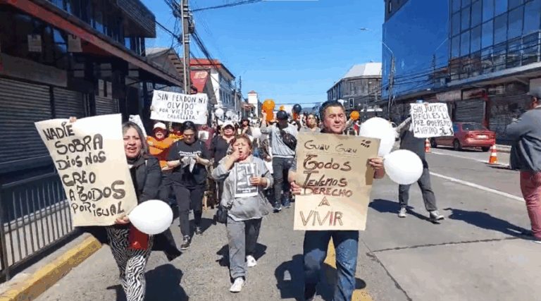 Realizan manifestación por asesinato de dos perros comunitarios en Valdivia: Exigen que se dé con los responsables