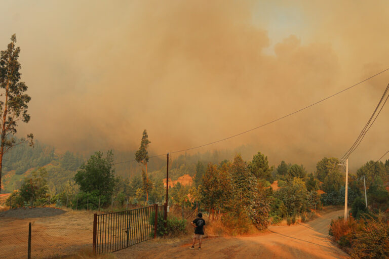 Decretan Alerta Roja en Vallenar por incendio forestal cercano a sectores habitados