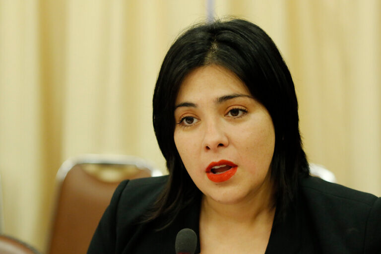 Diputada Cariola pidió evitar 