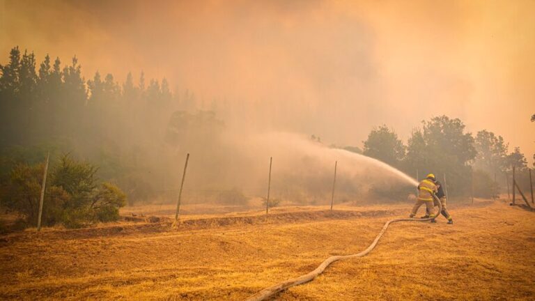 Senapred declaró Alerta Roja en Quintero por incendio forestal