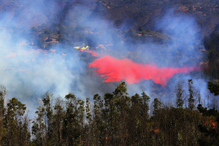 Incendio en Quilpué: Delegación de Valparaíso dice que se dirige al sector alto de la montaña y debiese bajar su intensidad
