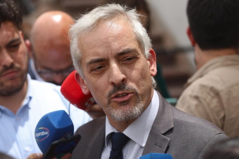 Tras fallido vuelo a Venezuela: Luis Thayer informó que concretaron expulsión de migrantes indocumentados