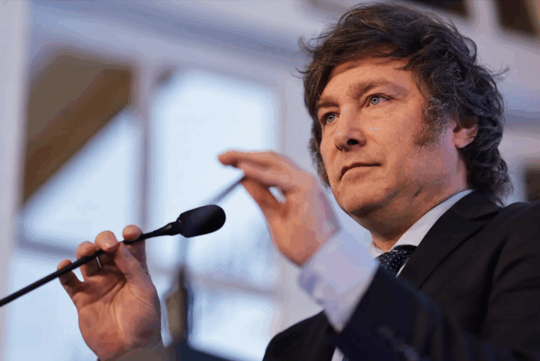 El impacto de las medidas económicas de Javier Milei en el comercio: ¿A quiénes podrían beneficiar y perjudicar?