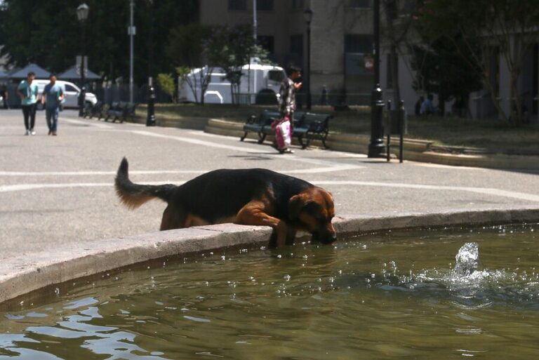 Emiten aviso meteorológico por altas temperaturas para 6 regiones de la zona centro