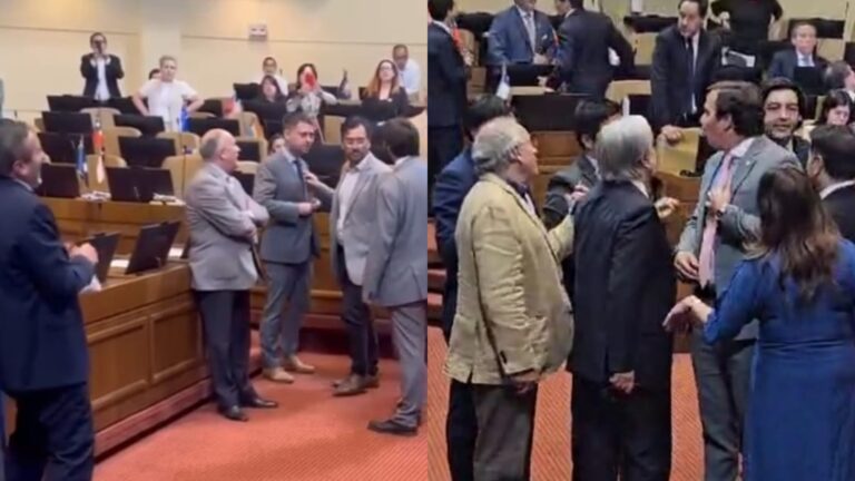 Diputados Labbé y Manouchehri protagonizan pelea en el Congreso: Parlamentario habría levantado su dedo del medio