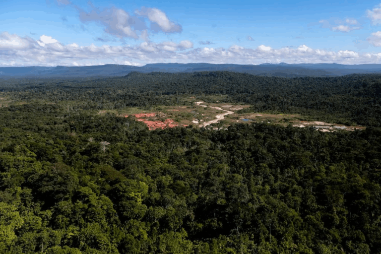 Reservas de petróleo, gas, oro y diamantes: ¿Cómo la riqueza del Esequibo contribuyó al crecimiento de Guyana?