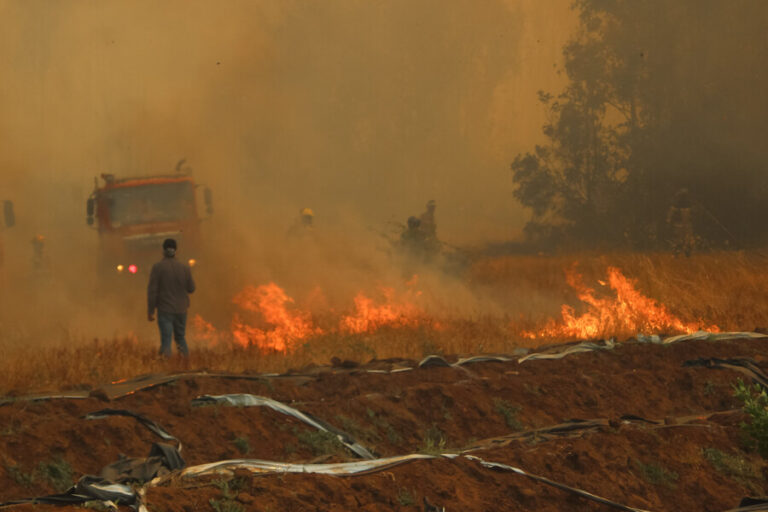 Alcalde de Isla de Maipo y riesgo de incendios forestales: 
