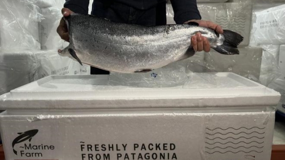 Llega a China el primer lote de salmón coho fresco procedente de Chile