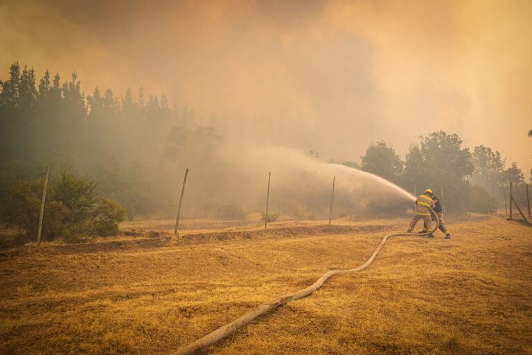Región de O'Higgins: Senapred solicita evacuar sectores de Navidad y La Estrella por incendios forestales