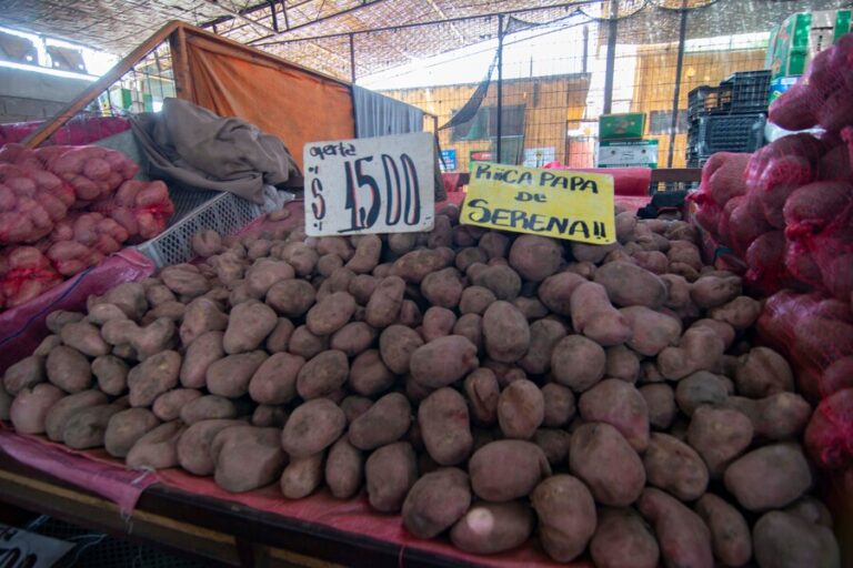 IPC de diciembre sorprende con una caída mayor a la esperada: Destacan bajas en papas y gasolina
