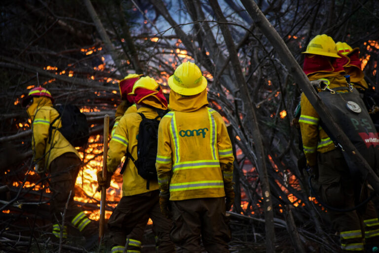 Brigadista jefe de Conaf murió tras sufrir graves quemaduras mientras combatía incendio forestal en Los Álamos