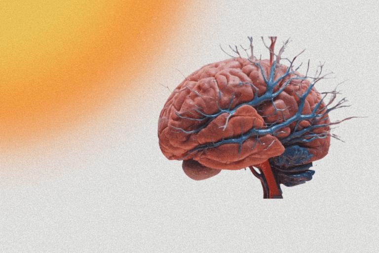 Disminuye la atención y aumenta la irritabilidad: ¿Cómo afecta el calor al cerebro y al ciclo del sueño?