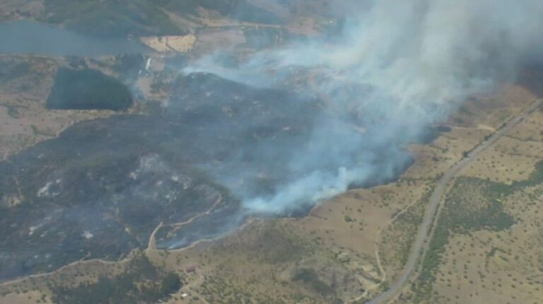 Senapred ordena evacuar sector La Aguada de la comuna de La Estrella en O'Higgins por avance de incendio forestal
