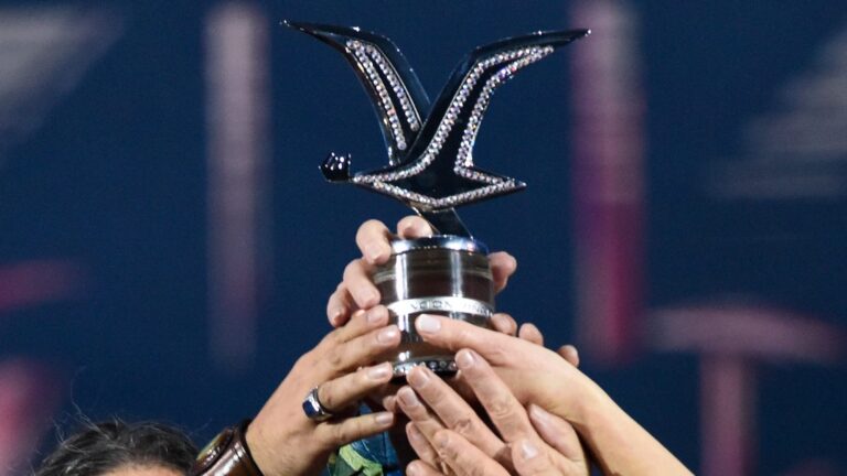 Tras el triunfo de Myriam Hernández: ¿Quiénes han recibido la Gaviota de Platino en el Festival de Viña del Mar?