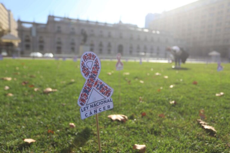 Ya es ley: Derecho al olvido oncológico permitirá terminar con la discriminación financiera a pacientes dados de alta