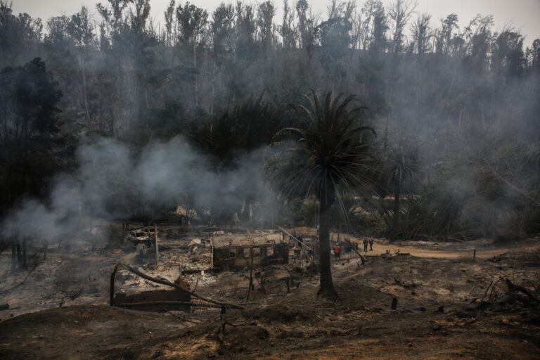 SML: 131 personas han muerto por los incendios forestales en la Región de Valparaíso