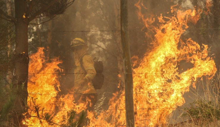 Decretan alerta roja en Valparaíso y Mulchén por incendios forestales: Siniestros afectan a más de 150 hectáreas