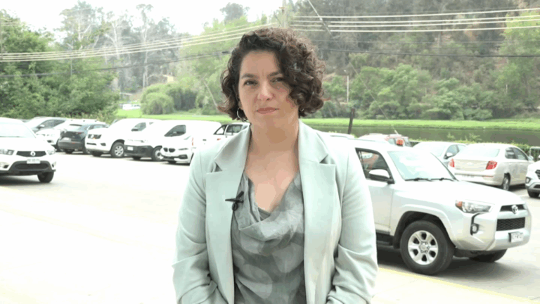 Ministra Toro y reconstrucción tras megaincendio: 