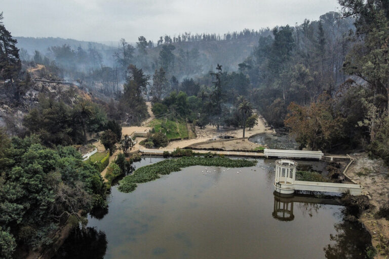 La destrucción del centenario Jardín Botánico Nacional: La pérdida de un pulmón verde tras los incendios en Viña del Mar