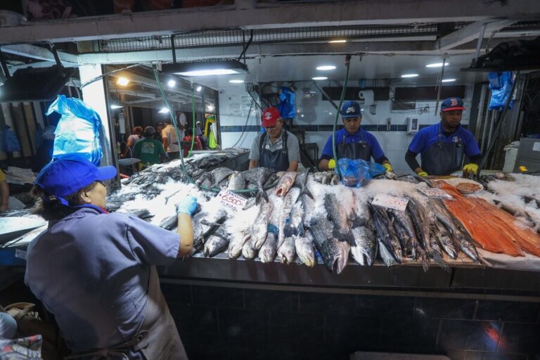 Preparativos para Semana Santa: ¿Subieron pescados y mariscos?