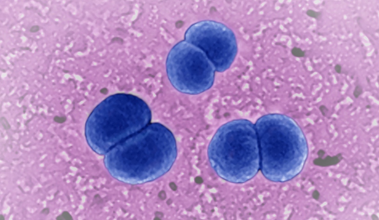 Autoridades advierten sobre infección bacteriana rara y grave con síntomas inusuales en Estados Unidos