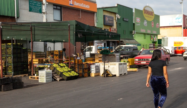 Longton respalda exigencia de carnet en Lo Valledor: “Lo grave es que al Gobierno no le llame la atención los delitos”