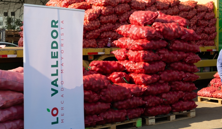 Gerentes de Lo Valledor y la Vega Central se reunirán el lunes con el Ministerio del Interior para tratar materias de seguridad