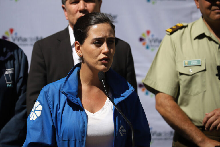 Ripamonti emplazó a Boric en entrega de útiles para damnificados: 